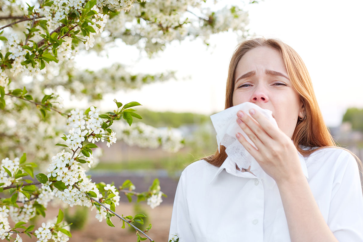 sneezing season